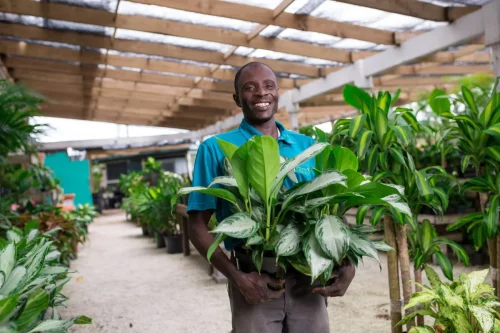 CaribbeanLandscapeGardenCenter